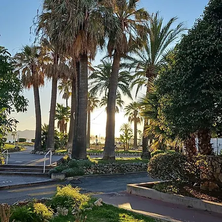 Palm Moure R Sunset *