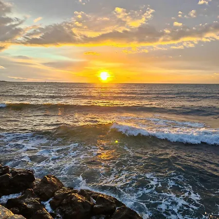 Palm Moure R Sunset