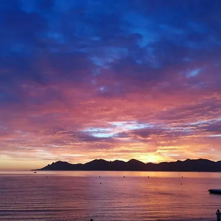 Palm Moure R Sunset * Cannes