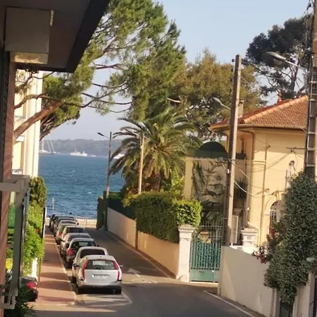 Palm Moure R Sunset